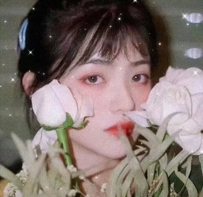 黑吃黑第二季